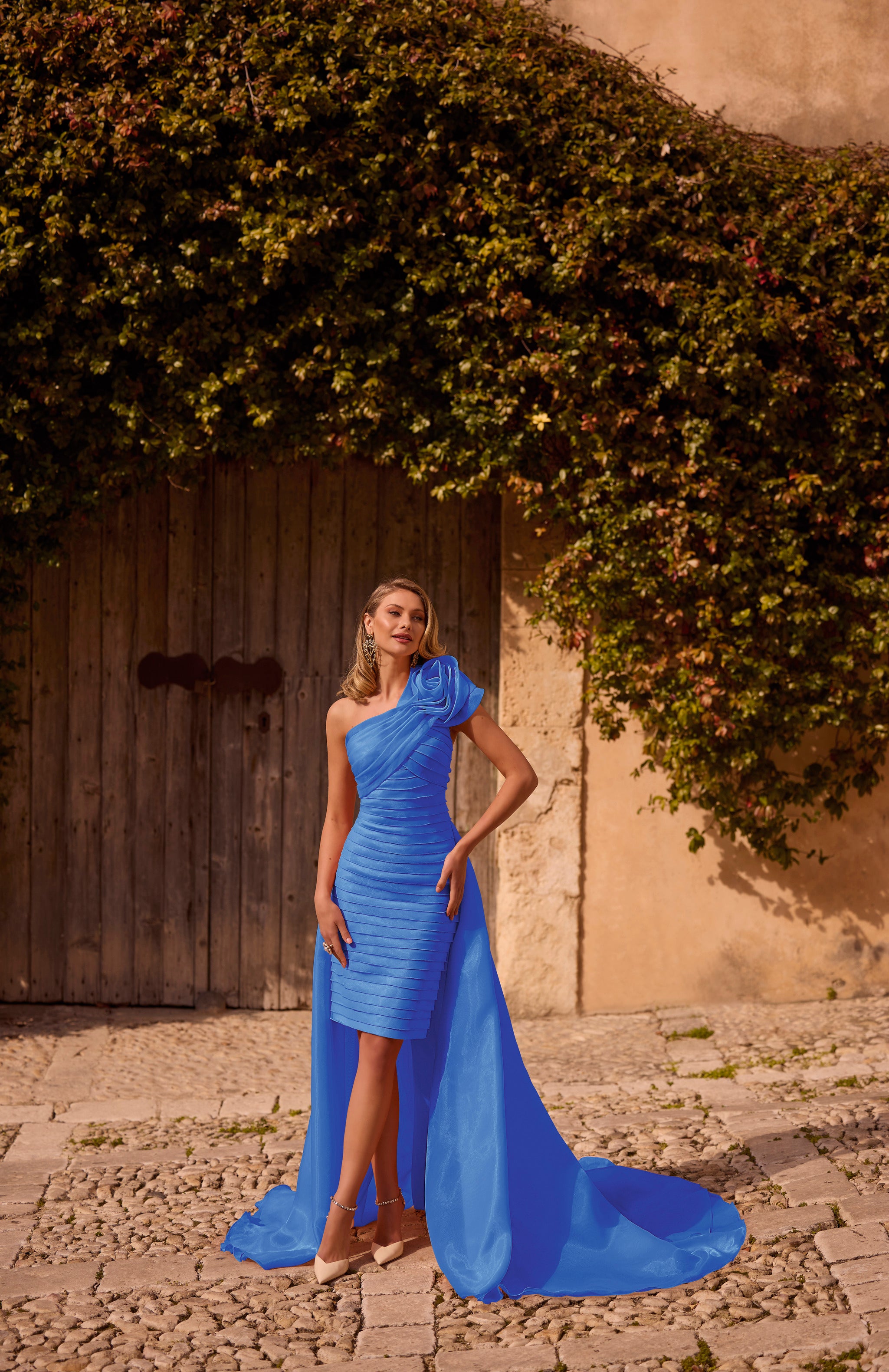 25078 Amore Gowns 25078_Royal